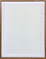 Phase Shift (blue morning glory & red flowering gum, Burnley) 2025