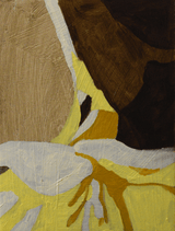 Soaring towards the sun 2022