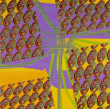 Green Legged Spider in a London AirBnB 2019