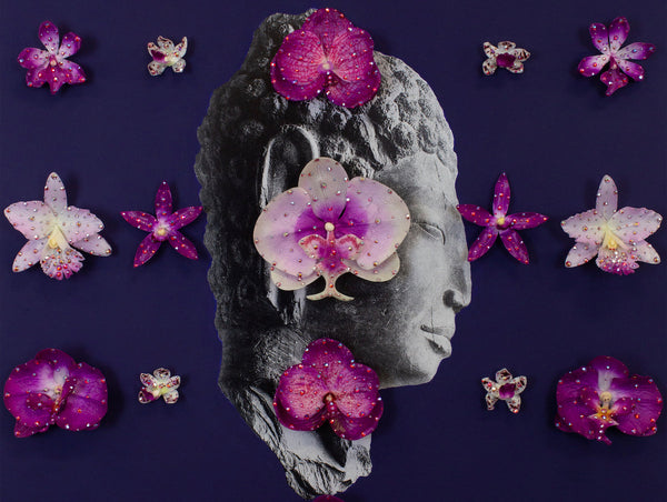 Nathan Beard 'Perennials'
