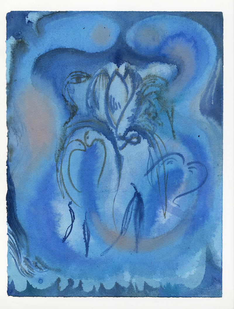 Oblivion, Snake Lotus 2022